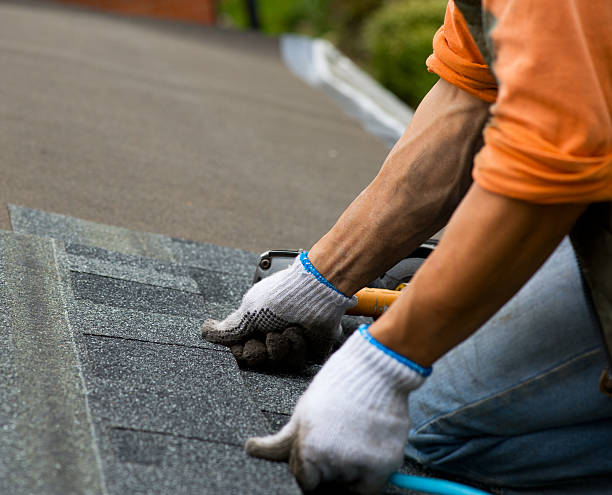 Best Gutter Installation and Roofing  in Lemont Furnace, PA